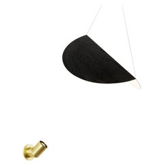 Bounce Sconce in Brass with Small Black Shade by Karl Zahn for Roll & Hill