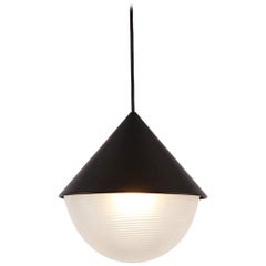 Half & Half Hemisphere Pendant in Black by Takagi & Homstvedt for Roll & Hill