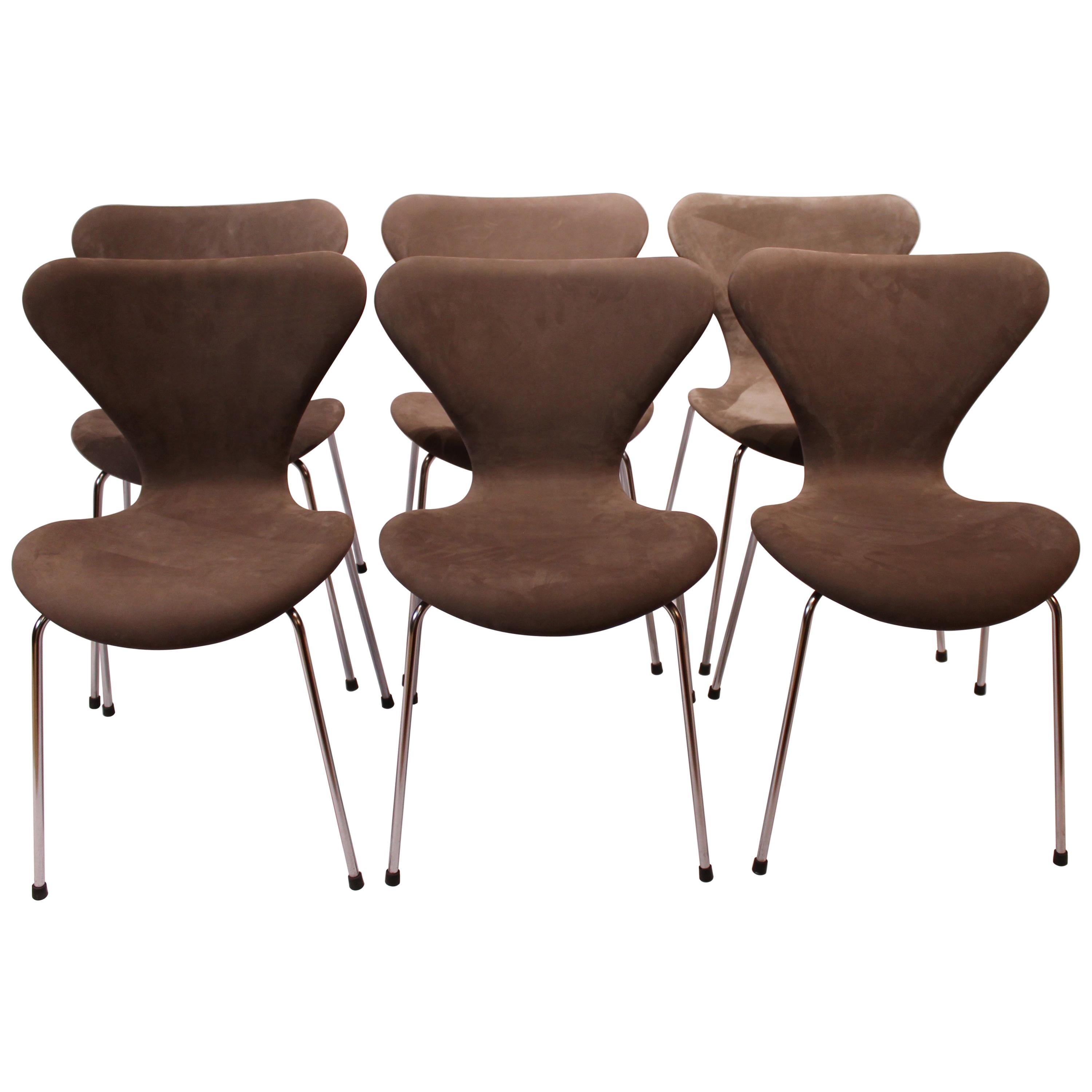 Set of 6 Seven Chairs, Model 3107, Designed by Arne Jacobsen