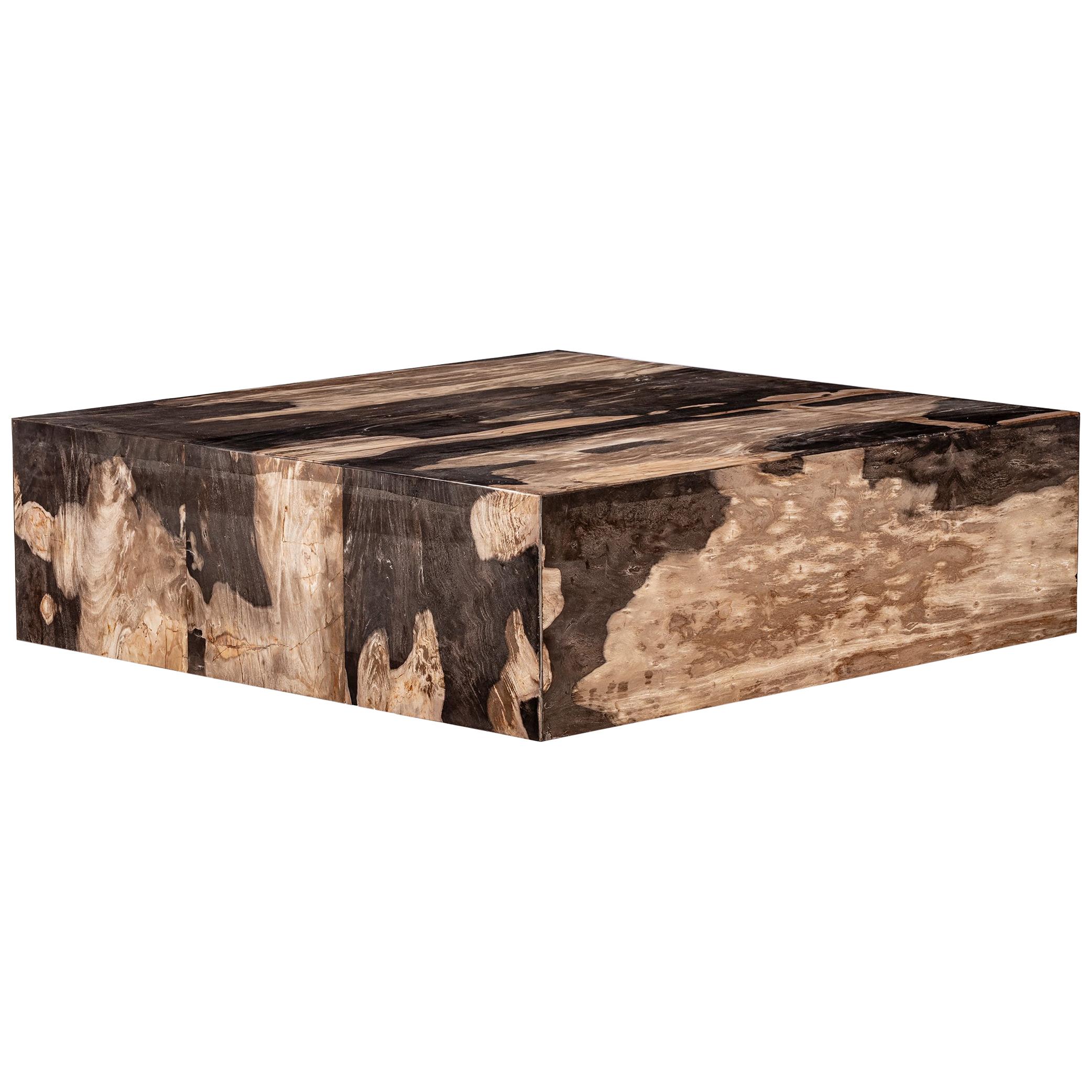 Square Center or Coffee Table, Petrified Wood