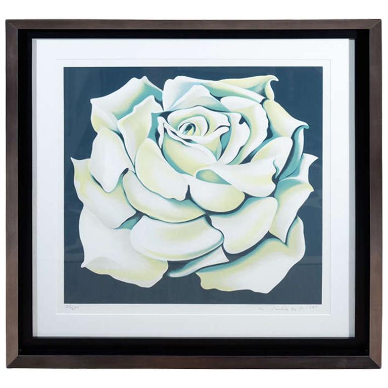 1980s Limited Edition White Rose Lithograph in Custom Frame by Lowell Nesbitt