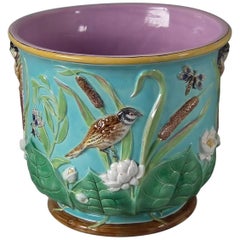 Large George Jones Majolica Bird and Pond Lily Jardinière