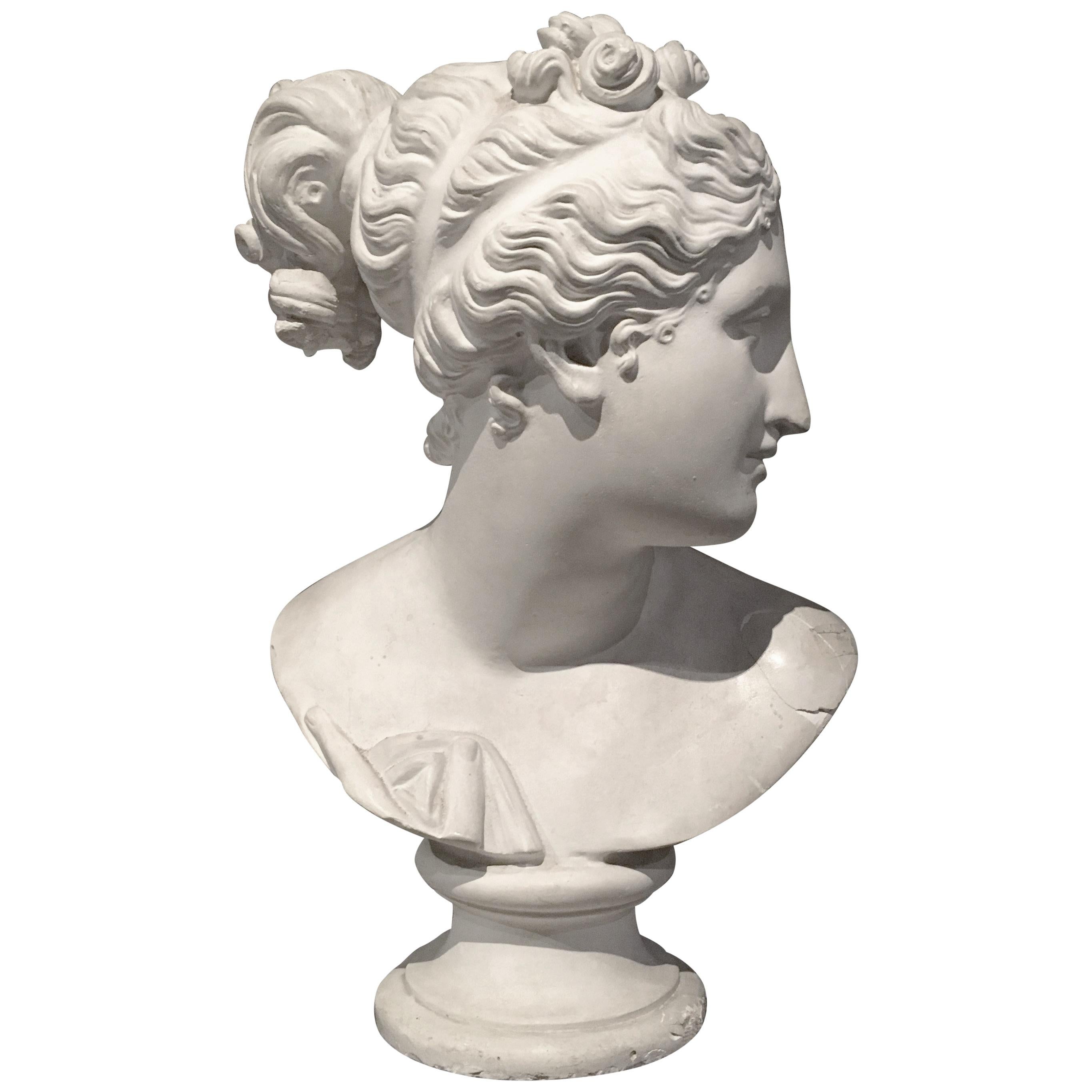 19th Century Italian Plaster Bust After an Antique Model, Depicting a Woman For Sale