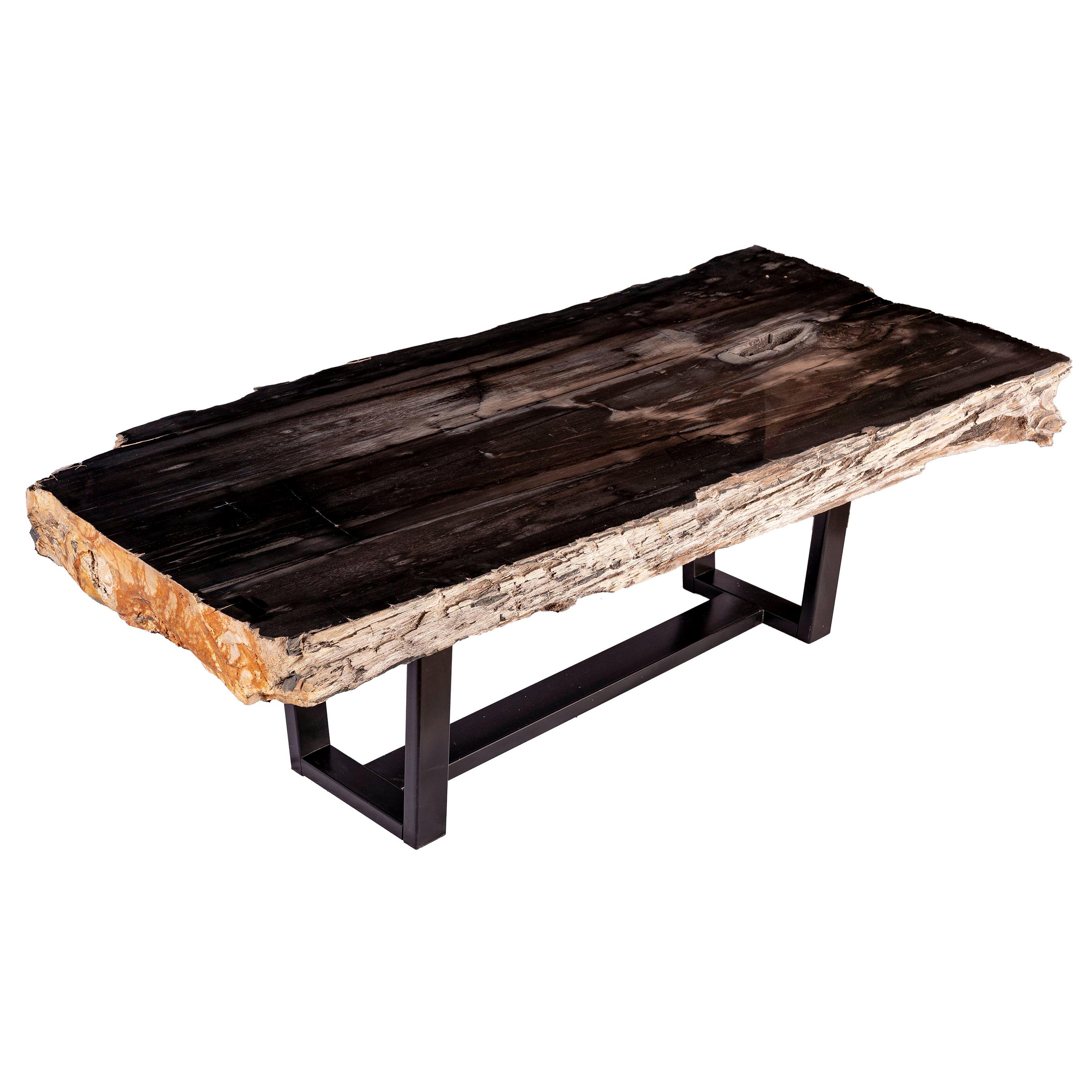 Center of Coffee Table, Rectangular Shape, Petrified Wood with Metal Base