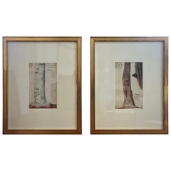 Pair of Charles De Wolf Brownell Watercolors