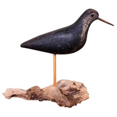 19th Century Nantucket Black Bellied Plover Decoy