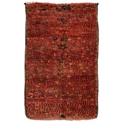 Rare Talsint Rug from the Middle of the 20th Century