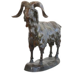 Vintage Billy Goat, Bronze