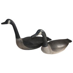 Antique Pair of Canadian Goose Decoys, 1930s