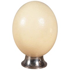 Decorative Ostrich Egg, France, 1960s