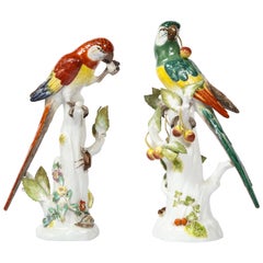 Paire de figures de perroquets en porcelaine de Meissen avec cerises:: insectes et fleurs