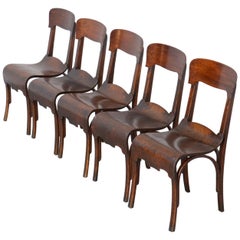 Set of 5 Jugendstil Bentwood Chairs