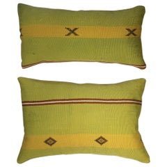 Pair of Cactus Silk Pillows