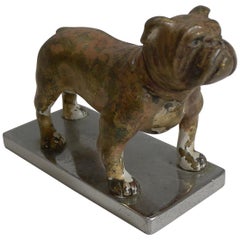 Ancien chien boxeur viennois en bronze peint à froid, datant d'environ 1900, mascotte de voiture