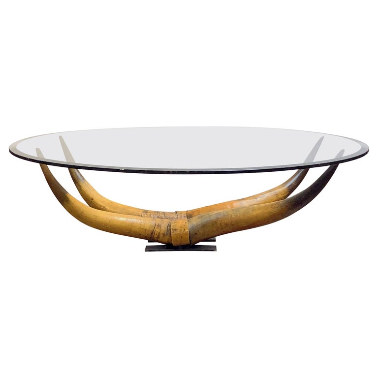 French Low Coffee Table on Steer Horn Base at 1stDibs