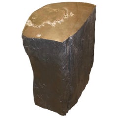 Andrianna Shamaris Fragment Petrified Wood Side Table