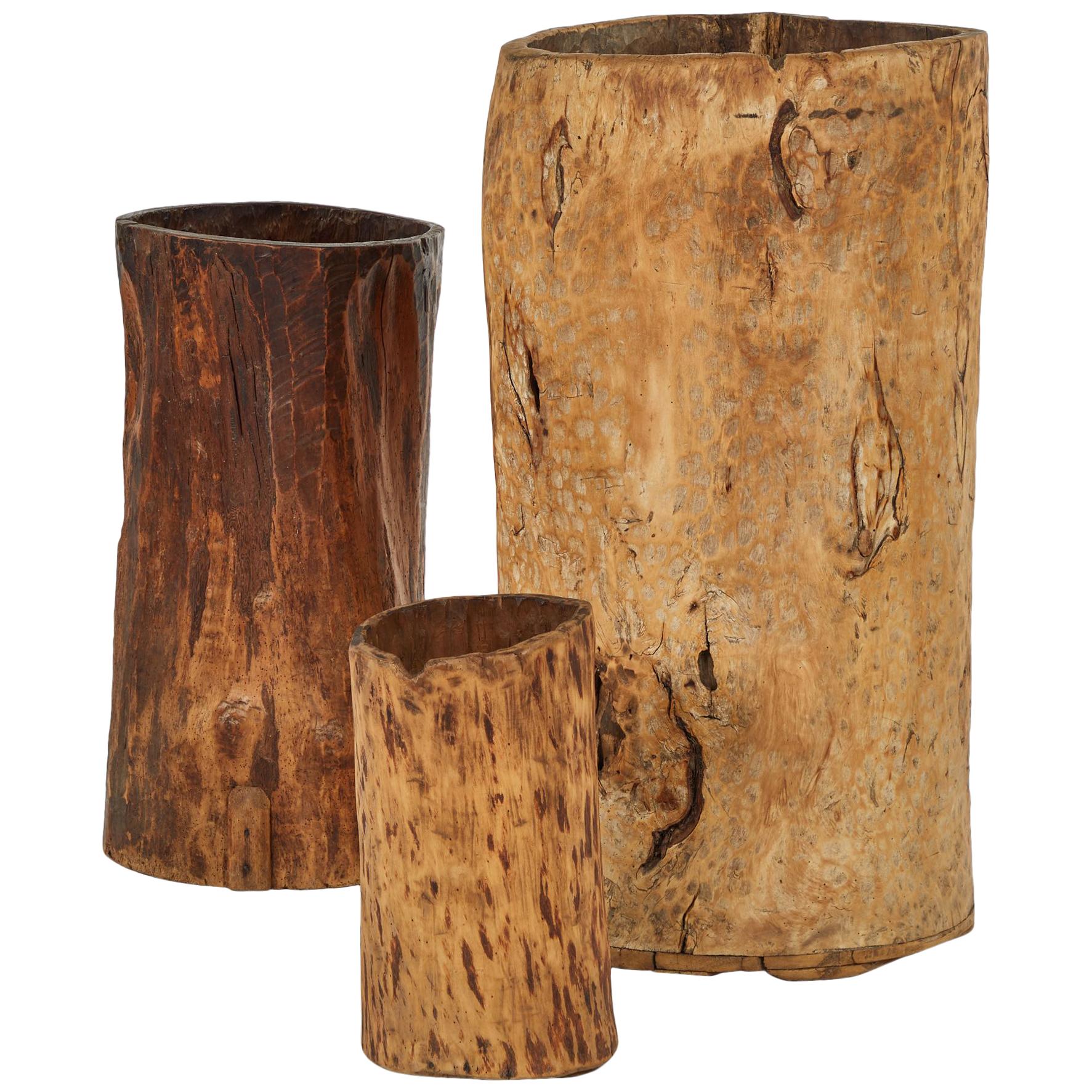 Set of Tree Trunk Sculptures with Up-Lights
