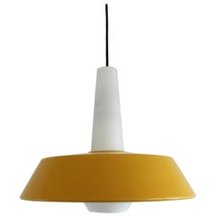 NT45 Metal and Glass Pendant Lamp by Louis Kalff for Philips, 1960s