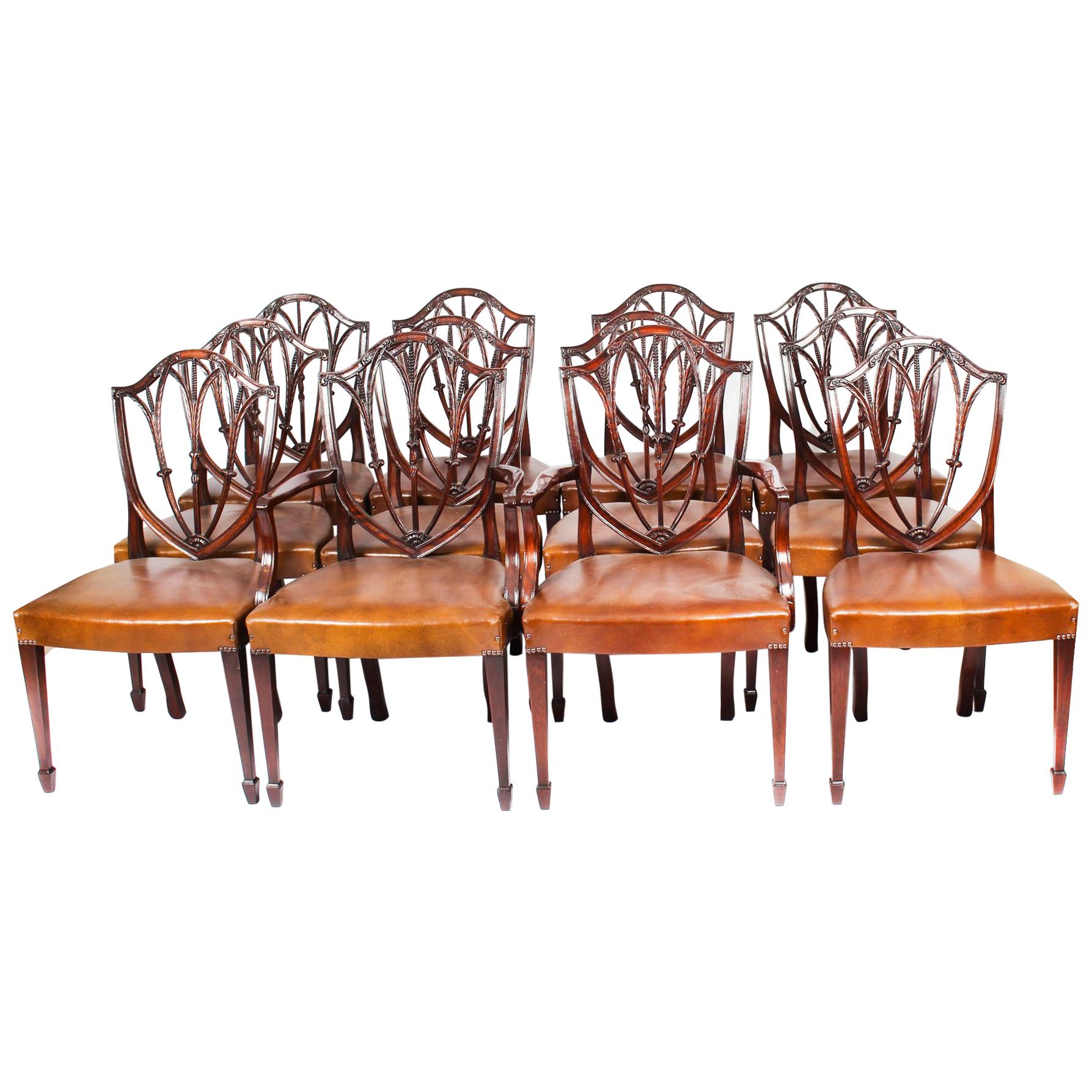 Antique Set 12 English Mahogany Hepplewhite Dining Chairs 19th Century