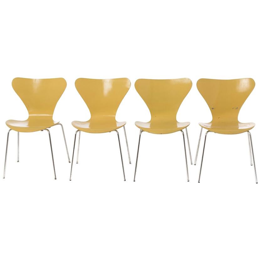 Danish Modern Series 7 Chairs by Arne Jacobsen