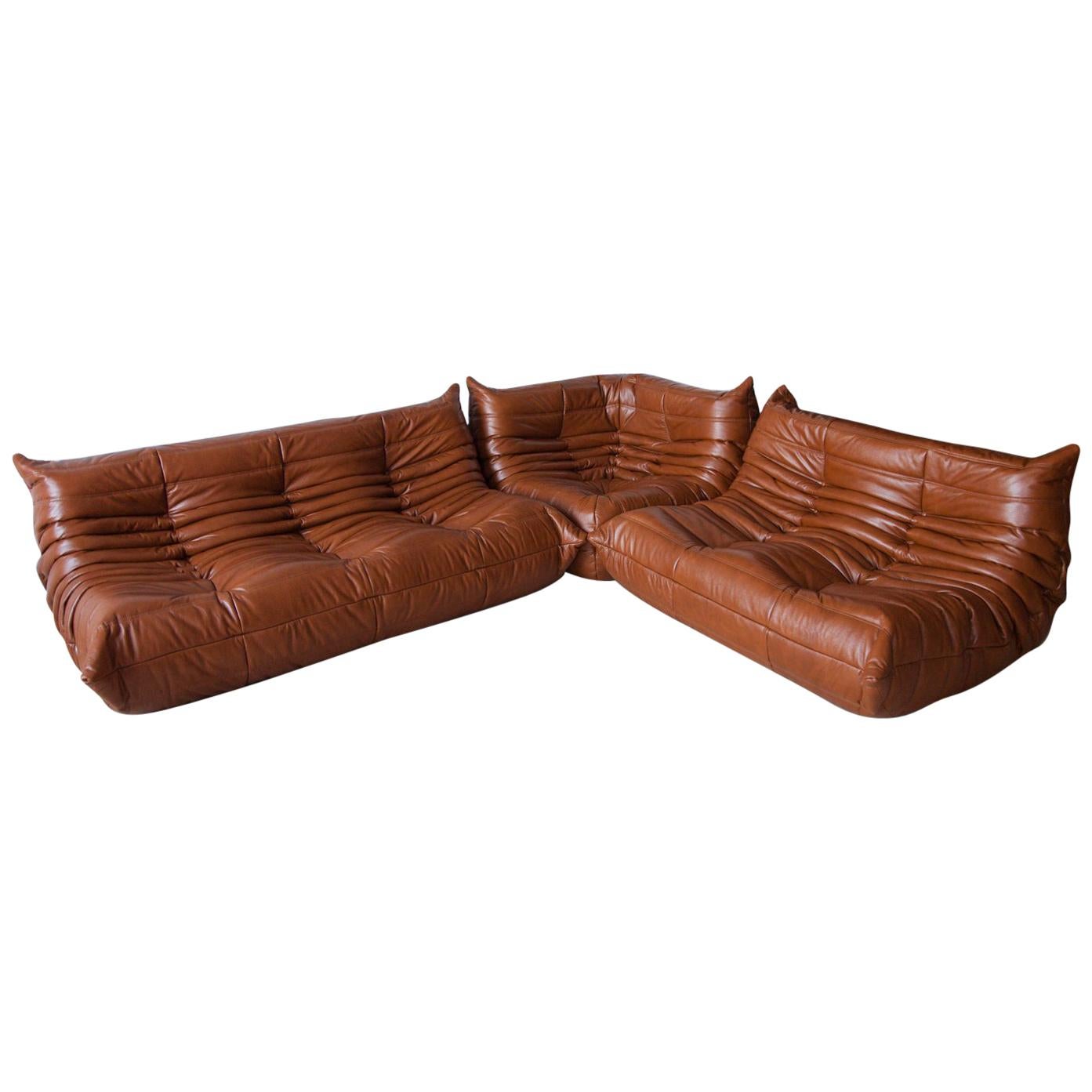 Whiskey Leather Togo Living Room Set by Michel Ducaroy for Ligne Roset For Sale
