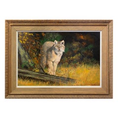 Pittura ad olio "American Lynx" di Peter Darro