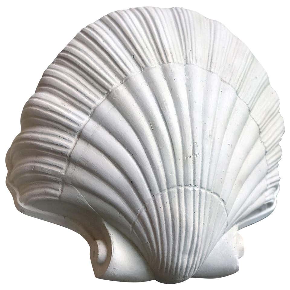 Organic Modern Shell Wall Light/Wall Sconce in White Plaster by Hannah ...