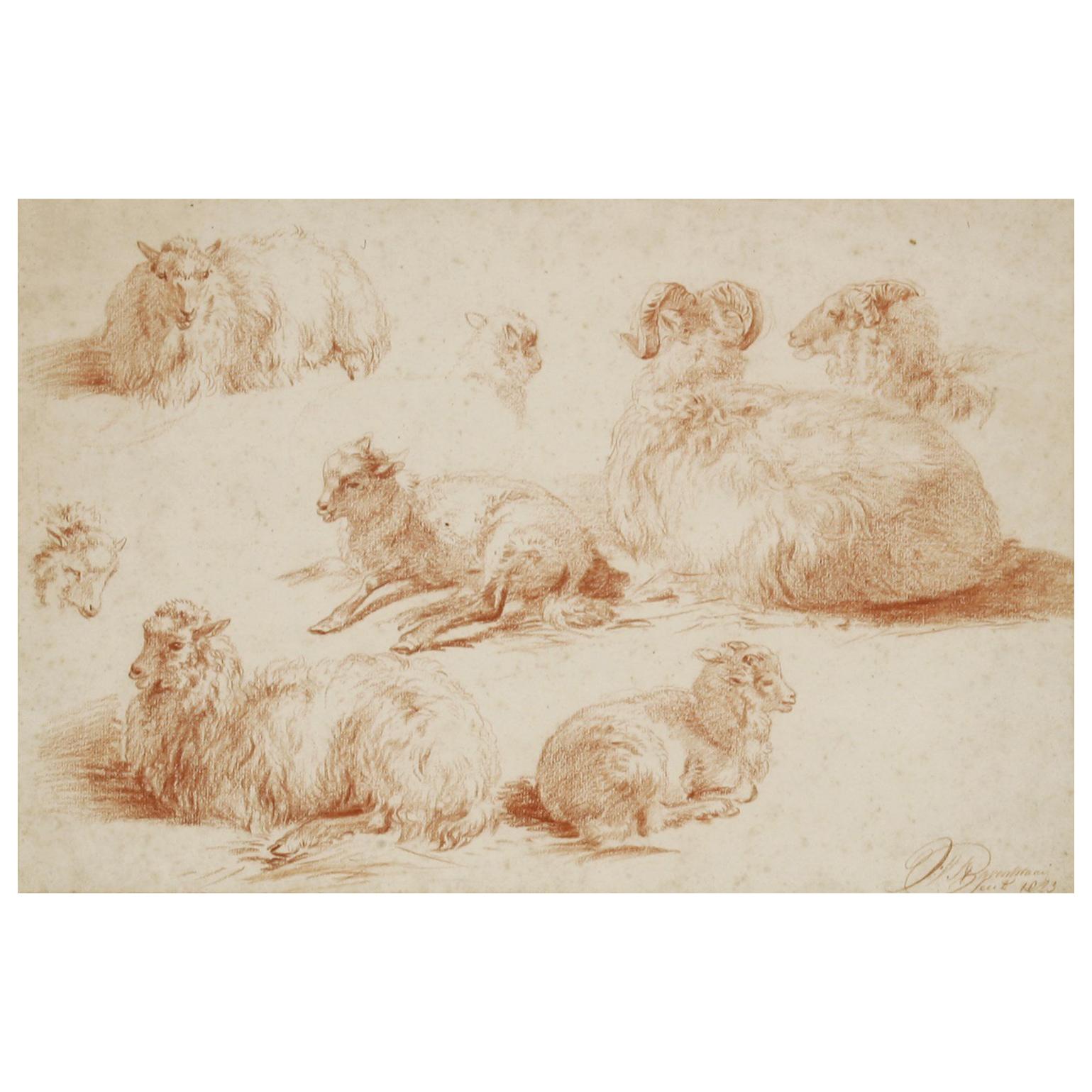 Drawing de moutons en craie rouge du 19ème siècle par Jan van Ravenswaay