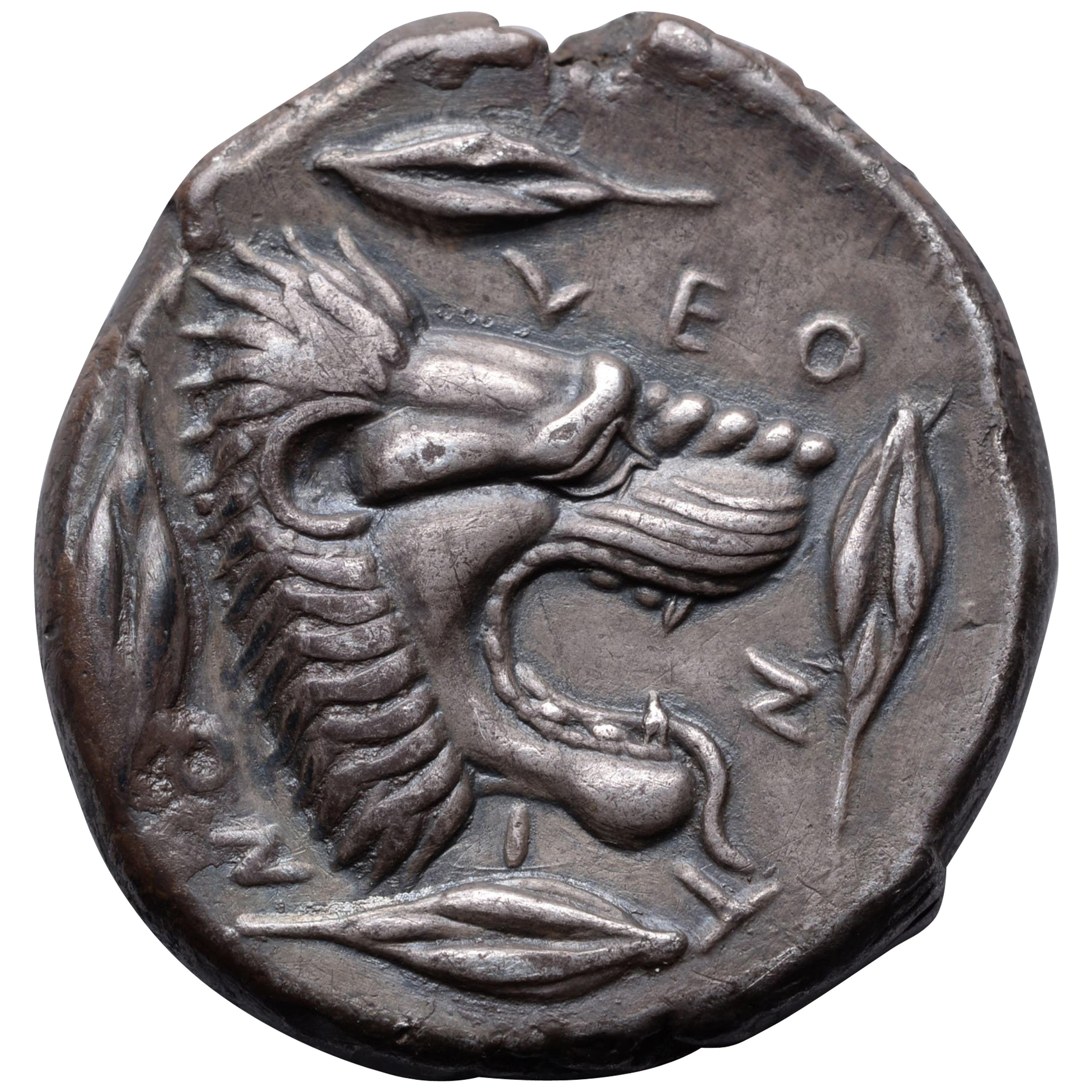 Ancient Greek Silver Lion Tetradrachm Coin from Leontini, 450 BC