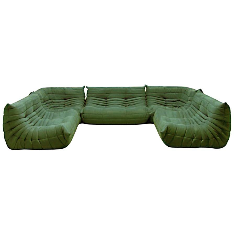 Green Togo Sofa Set by Michel Ducaroy for Ligne Roset, 1970s, Set of 5