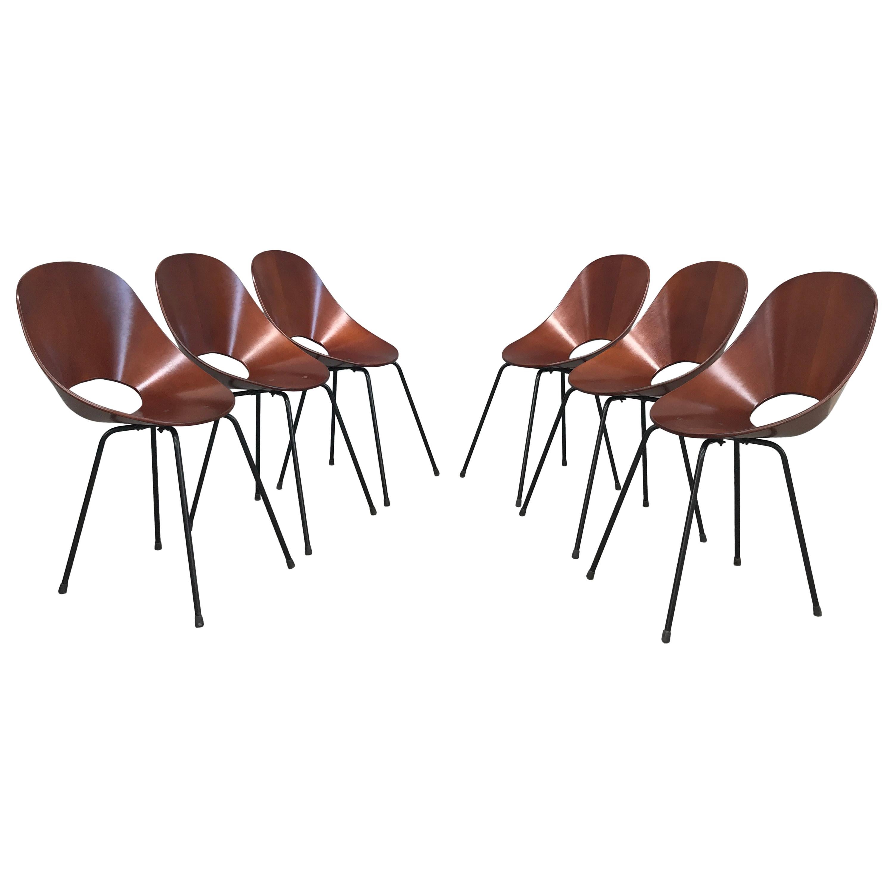 6 Medea Chairs by Vittorio Nobili