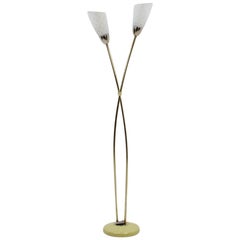 Vintage Floor Lamp by Kamenický Šenov, Czechoslovakia, 1950s