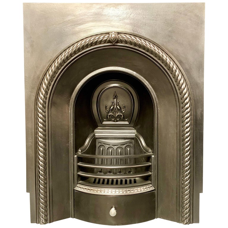 Victorian 19th Century Cast Iron Fireplace Insert For Sale At 1stdibs