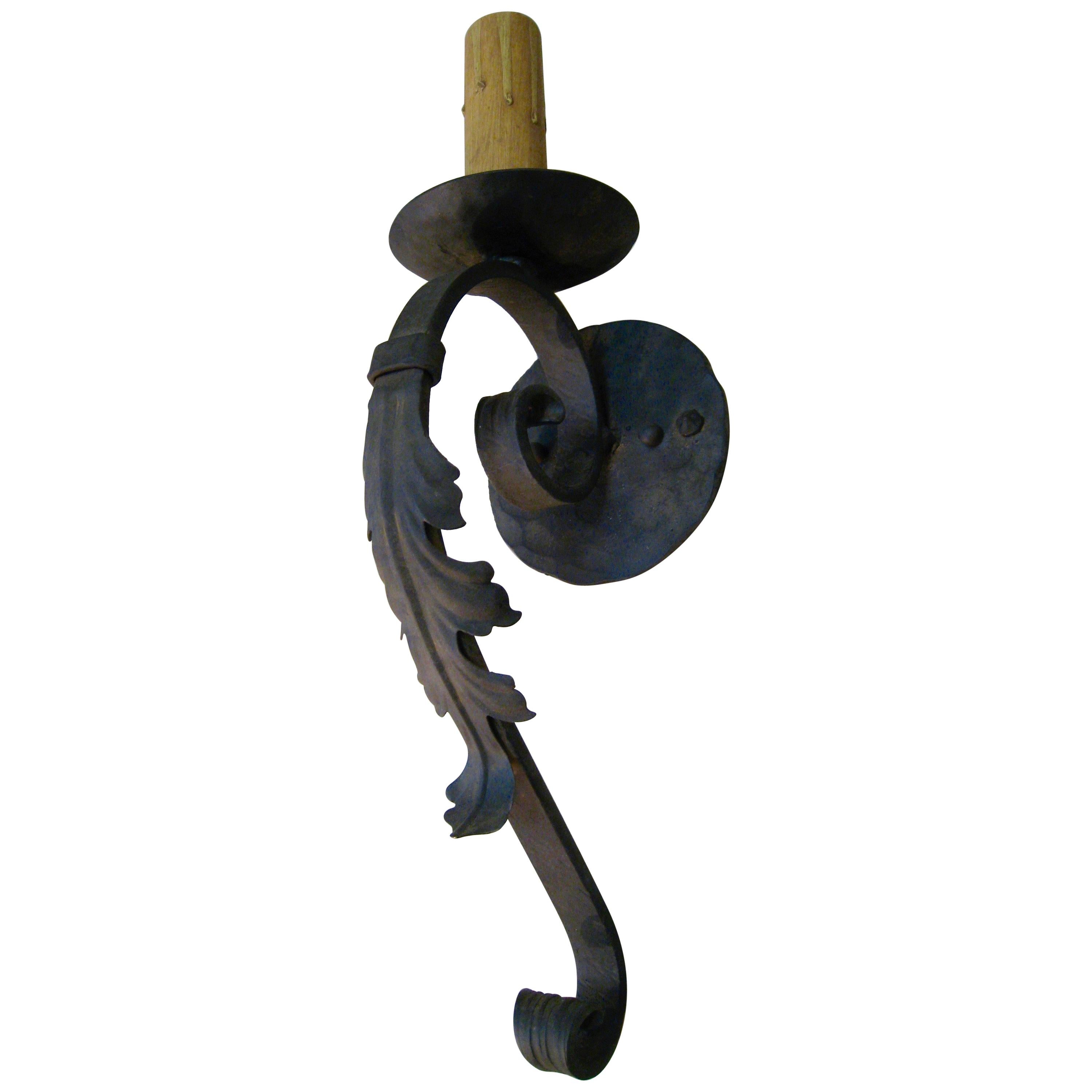 Iron Acanthus Leaf Sconce For Sale