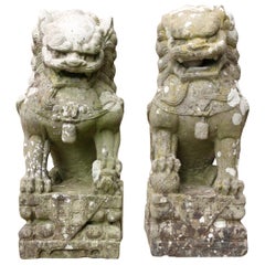 Pair of Stone Chinese Guardian Foo / Fu Dogs