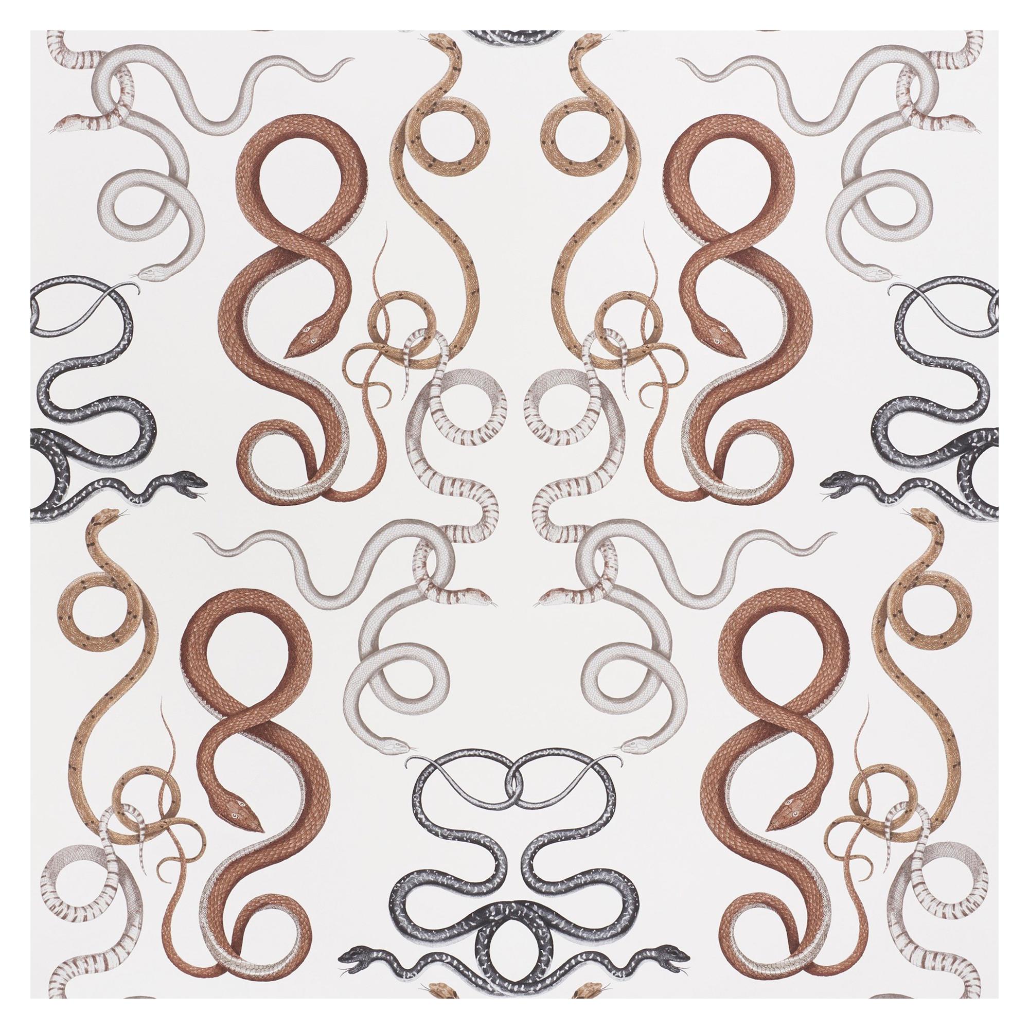 Schumacher Charlap Hyman Herrero Giove Wallpaper in Agate and Onyx For Sale