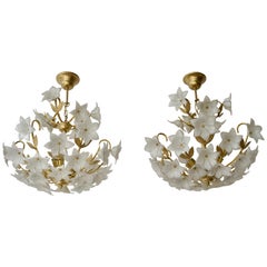 Pair of Italian Chandelier Murano Glass Gold White Flowers, 1970