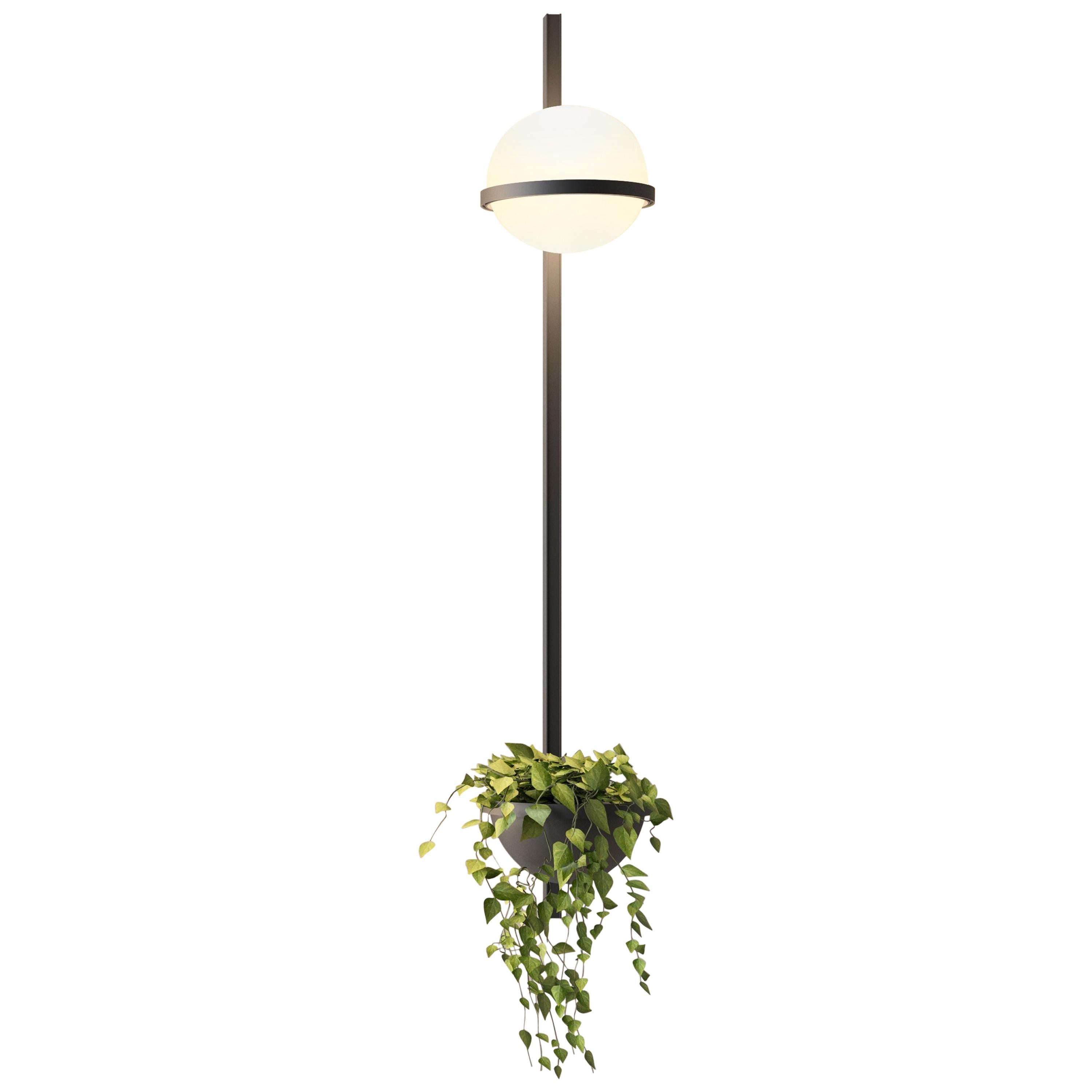 Palma LED Vertical Wall Lamp and Planter in Charcoal Grey by Antoni Arola For Sale