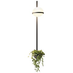Palma LED Vertical Wall Lamp and Planter in Charcoal Grey by Antoni Arola