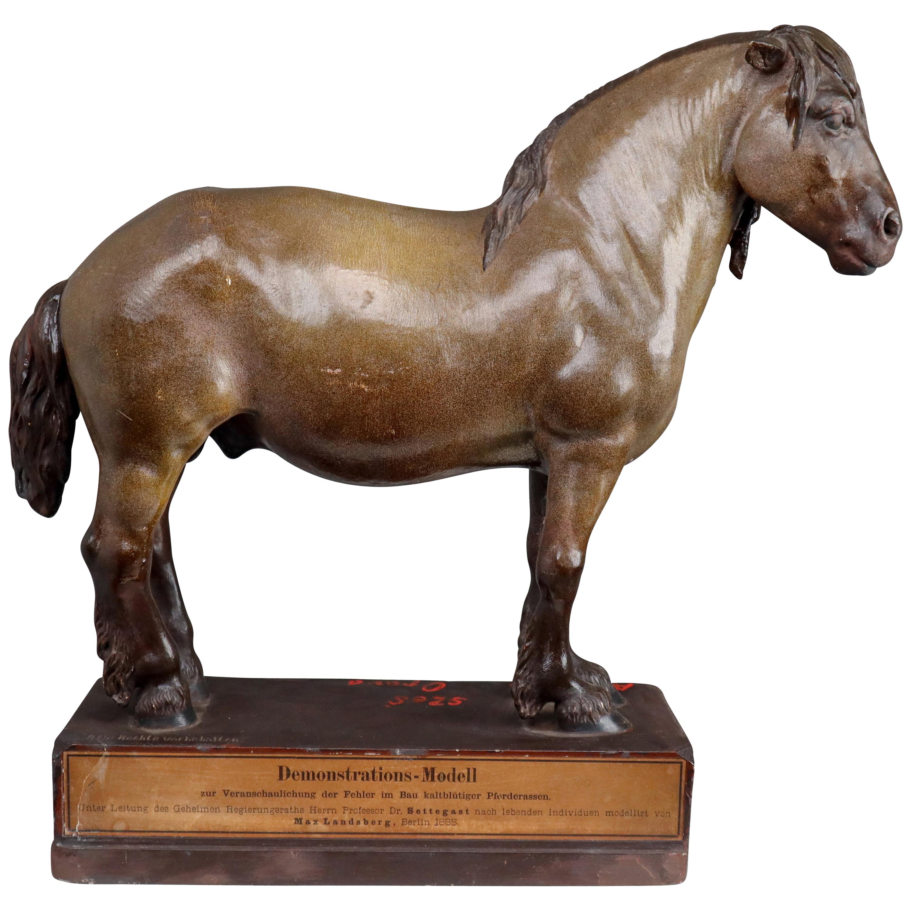 Cold Blood Horse Model in Painted Plaster by Max Landsberg, Berlin 1885