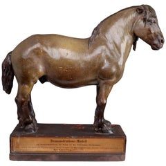 Cold Blood Horse Model in Painted Plaster by Max Landsberg, Berlin 1885