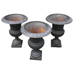 Three Vintage Large Black Cast Iron Neoclassical Urn Planters