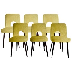 Midcentury "Shell" Chairs in Mustard Gold Velvet by Leśniewski, 1960s, Set of 6