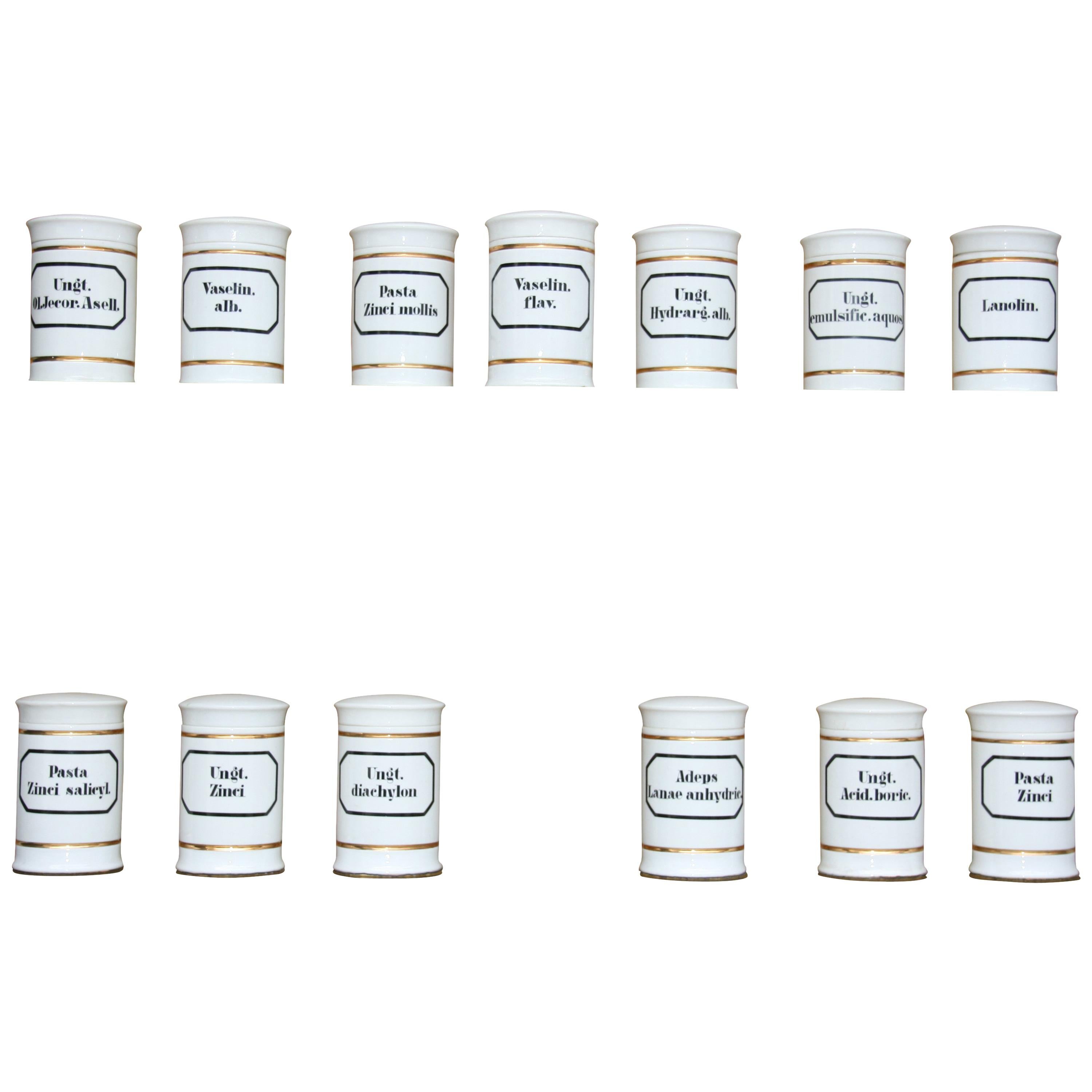 Set of 13 German Apothecary Pharmacy Jars, Early 20th Century