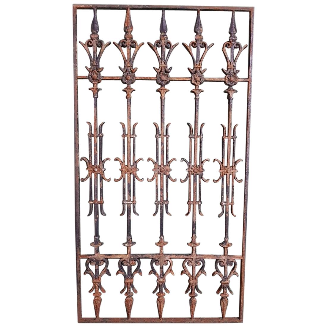 Early 20th Century French Cast Iron Door Fence or Grill.