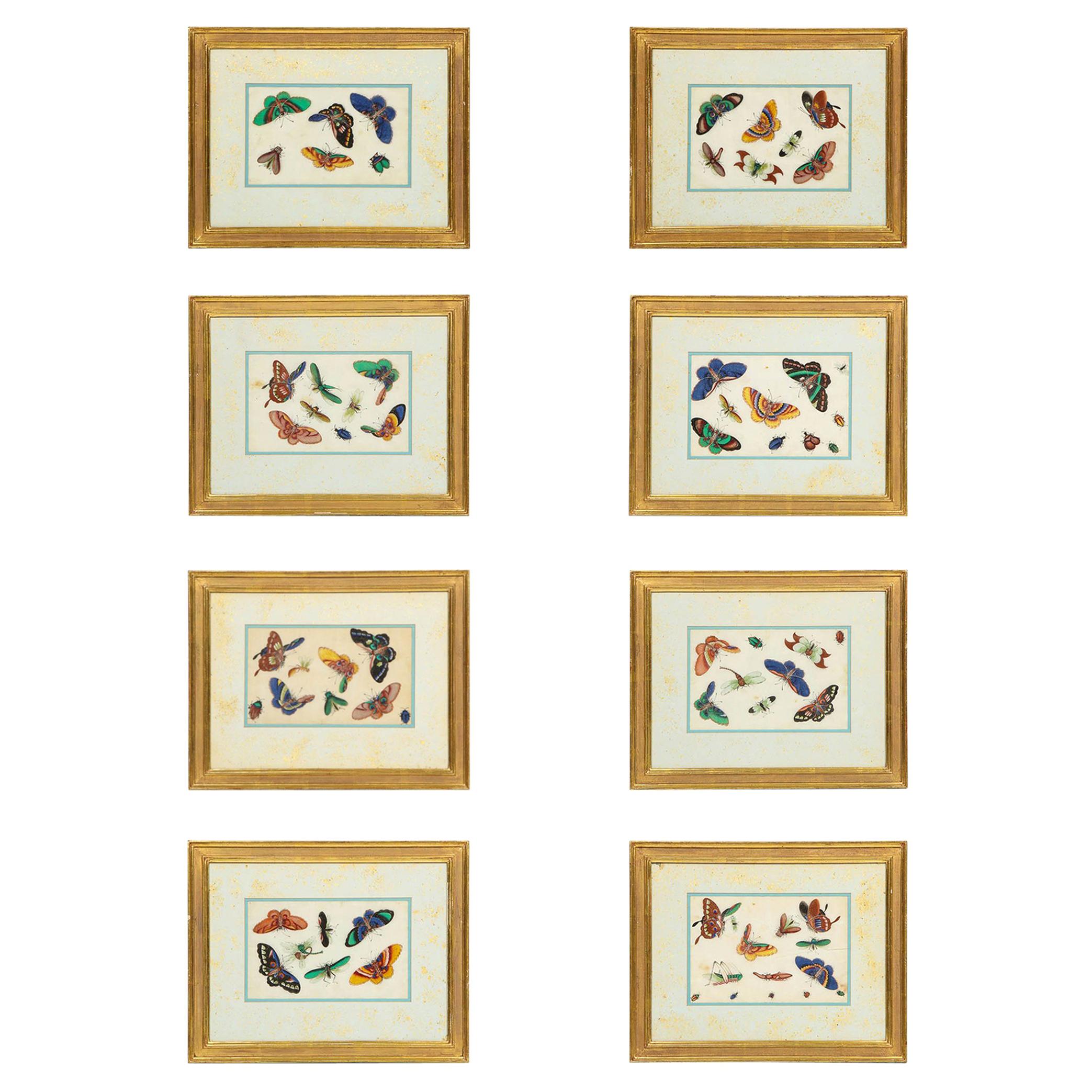 Set of Eight Chinese Rice Paper Paintings of Butterflies and Insects at