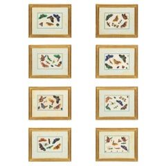 Antique Set of Eight Chinese Rice Paper Paintings of Butterflies and Insects