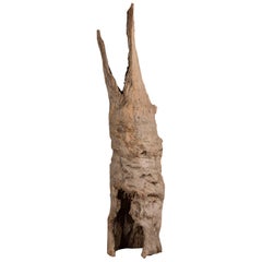 Organic Modern Vintage Dutch Natural Elm Tree Trunk Sculpture Holland circa 1920