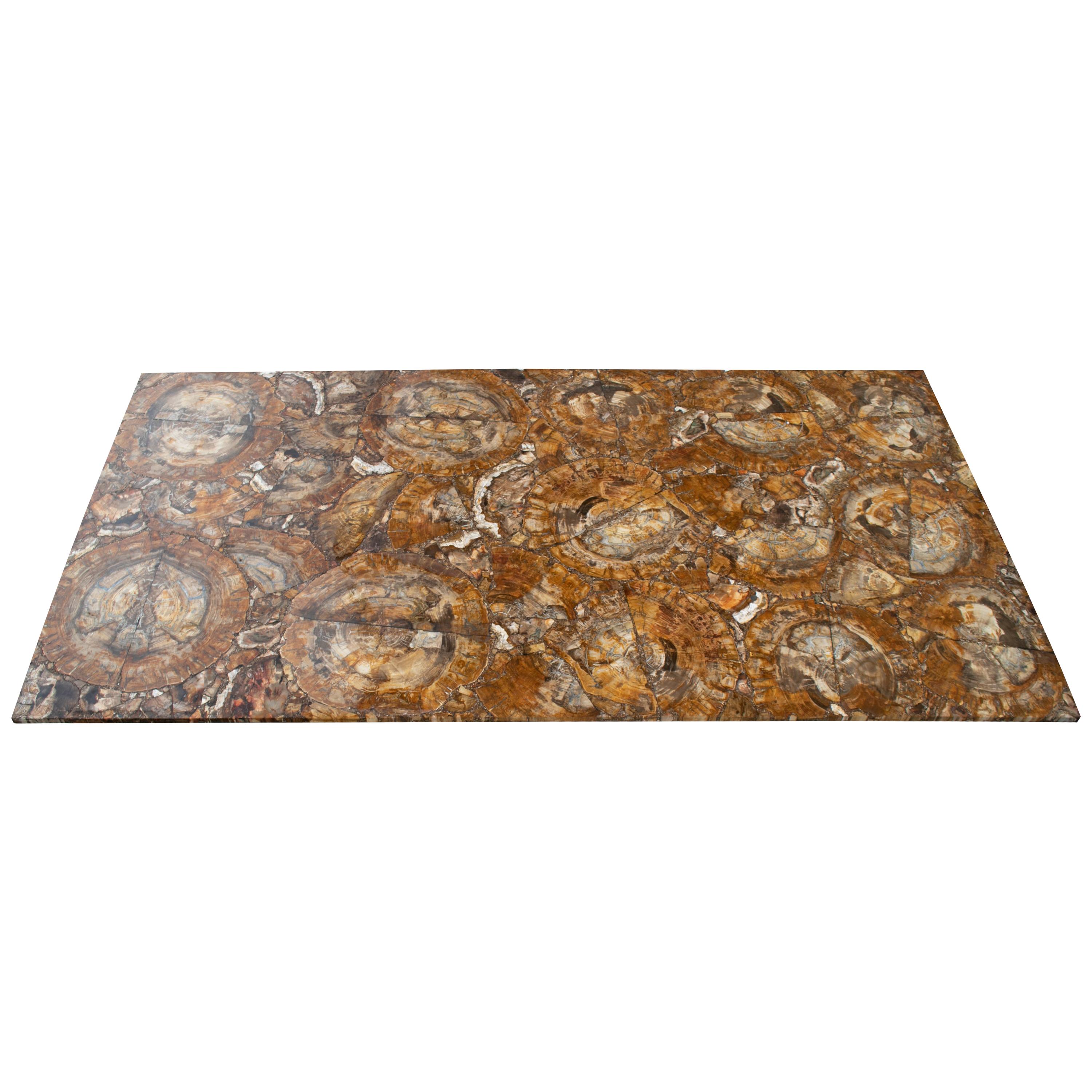 Fossilized Tree Trunk Mosaic Table Top For Sale