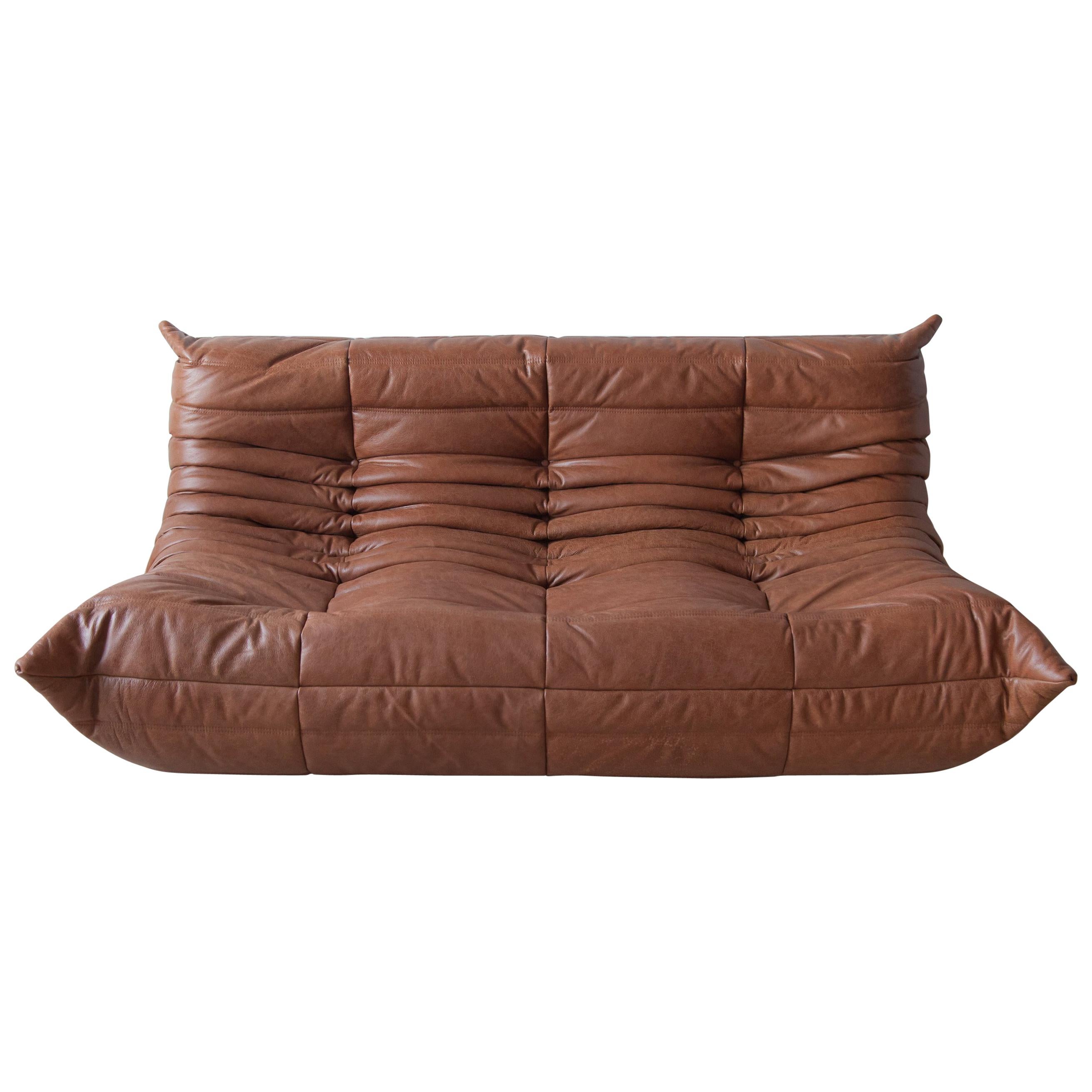 Togo 3-Seat Sofa in Kentucky Brown Leather by Michel Ducaroy for Ligne Roset For Sale